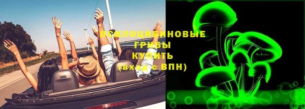 ПСИЛОЦИБИНОВЫЕ ГРИБЫ Бронницы