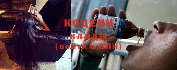 не бодяженный Бородино