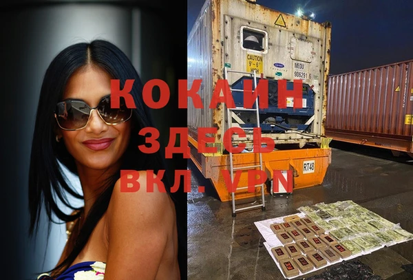 не бодяженный Бородино