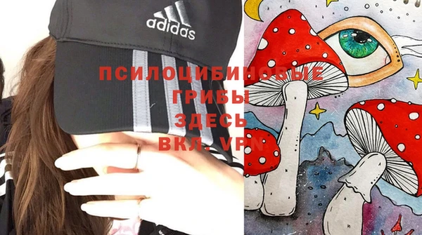 ПСИЛОЦИБИНОВЫЕ ГРИБЫ Бронницы