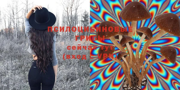 не бодяженный Бородино