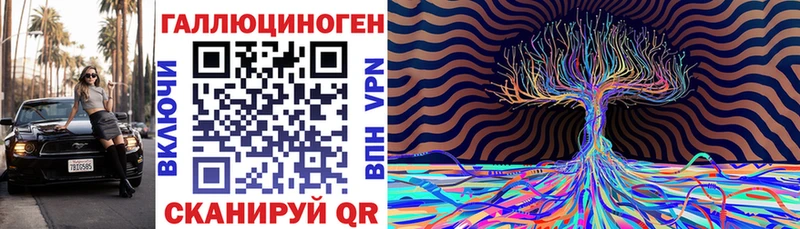 наркотики  мега зеркало  Псилоцибиновые грибы Psilocybine cubensis  Карачаевск 